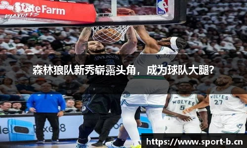 b体育官网