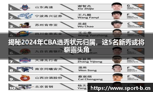 b体育