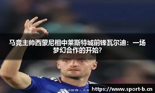 b体育