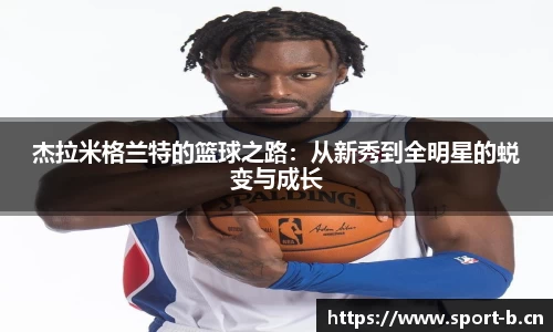 b体育官网