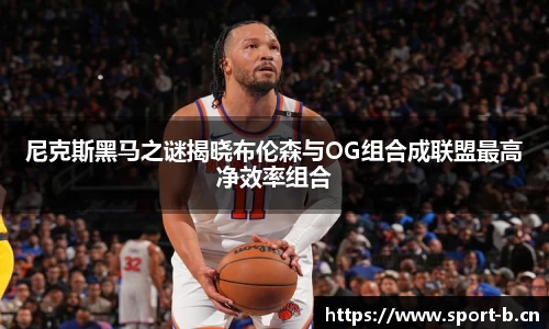b体育