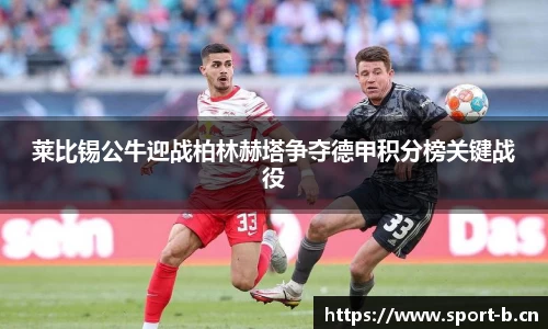 b体育
